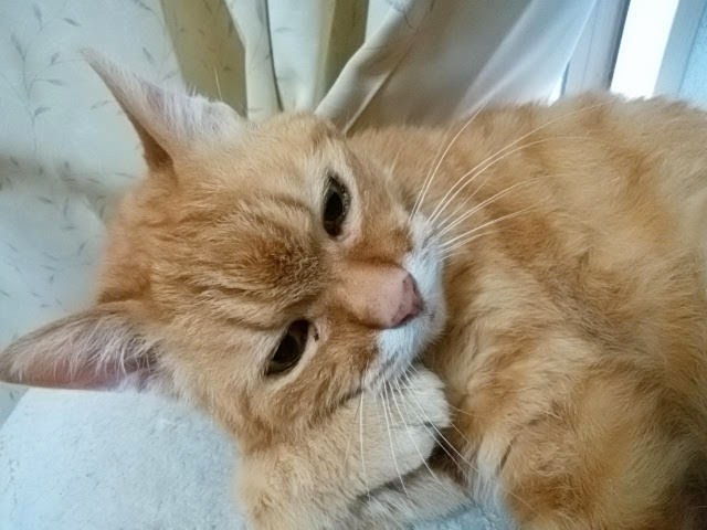 25ansデジタル様に監修記事が掲載されました！